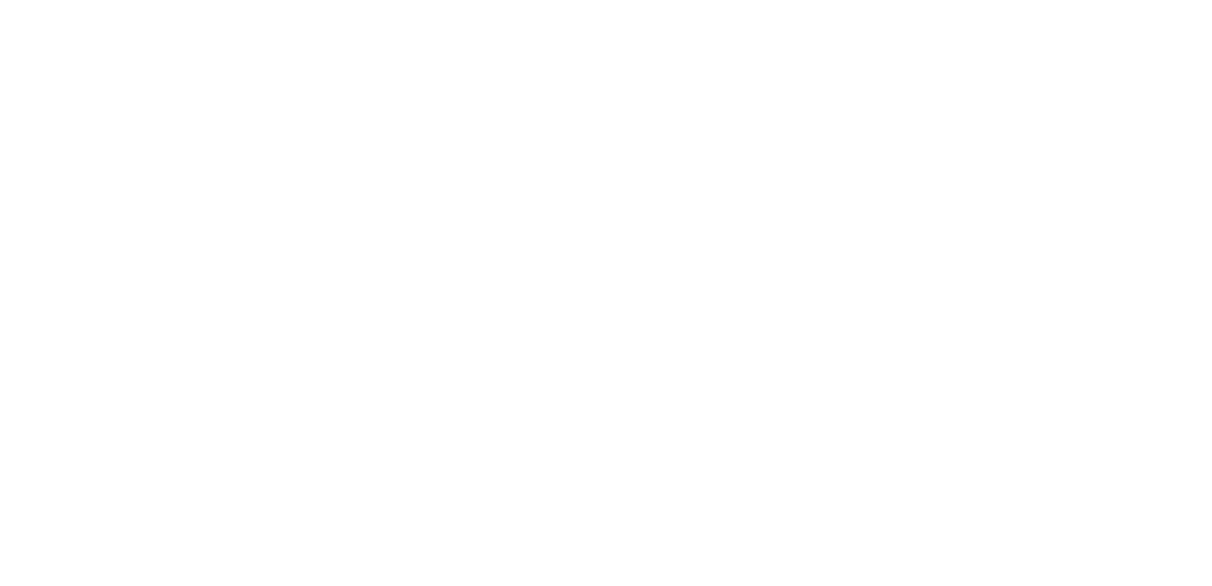 Lehigh Valley_Inc_white.png